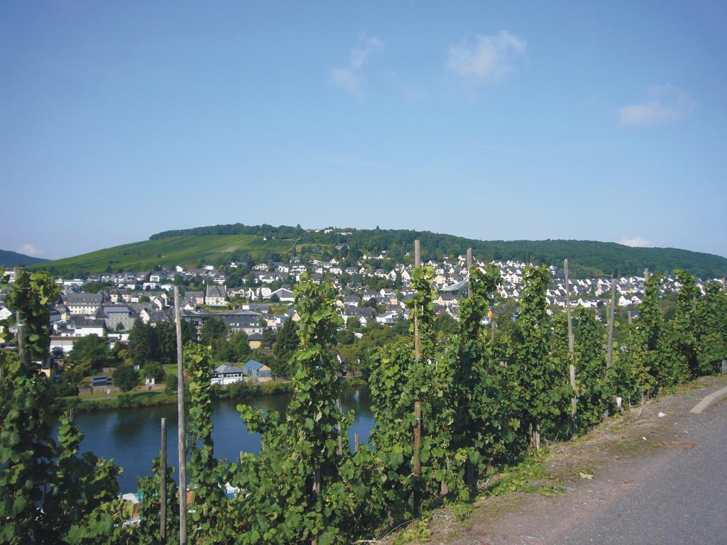 Christiana's Wein&Art Hotel Bernkastel-Kues Exterior foto